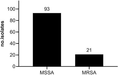 Rifabutin: a repurposed antibiotic with high potential against planktonic and biofilm staphylococcal clinical isolates